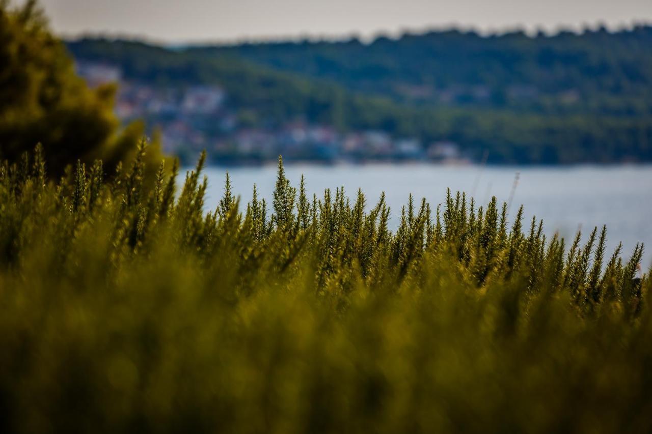 Villa Amarina Trogir Zewnętrze zdjęcie